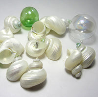pearl turbo shells, white turbo shells, silver turbo shells, turbo shells, white wedding shells, beach wedding seashells