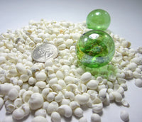 white litorina shells, white litorina seashells, tiny white shells, white wedding shells, white craft shells, tiny shells