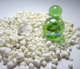white litorina shells, white litorina seashells, tiny white shells, white wedding shells, white craft shells, tiny shells