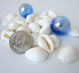 white cowrie shells, cowrie seashells, white shells, white craft shells, white wedding shells, cowries