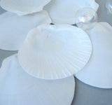 moon shell, moon seashell, white moon shell, white moon seashell, sun and moon shell, sun and moon seashell, beach wedding shell