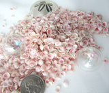 apple blossom shells, apple blossom seashells, tiny pink shells, tiny pink seashells, beach wedding shells, blush wedding shells