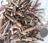 sea urchin spine, sea urchin spike, urchin spine shells, urchin spike shells, tiny sea urchin spines, wind chime shells