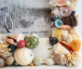 seashell frame, shell frame, seashell decor, shell decor, colored shell frame, white shell frame
