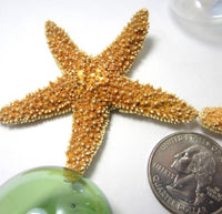 brown sugar starfish, sugar starfish, sugar star fish, small starfish, beach wedding starfish, orange starfish